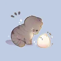 Cả lớp 