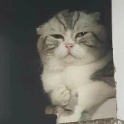 TÁC GIẢ~