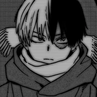 Shoto Todoroki