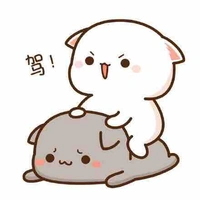 Hệ thống của Vy