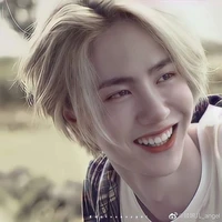 Vương Điềm Điềm/anh /