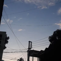 tác giả