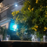 Các nhân vật phụ