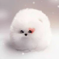 Jinji