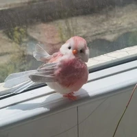 ♈︎「♩𝐏𝐮𝐚♩𝐏」♈︎