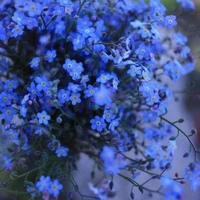 quần chúng không lương