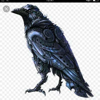 quạ đen