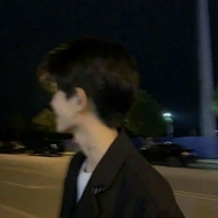 刘耀文-Diêu Song Tử