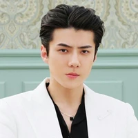 Jeon Sehun ( Papa Jeon )