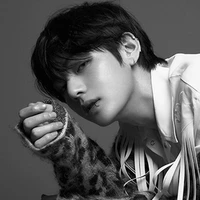 Kim Taehyung ( Tae, V )