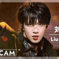 Lưu Diệu Văn