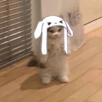 tác giả(ngaphuong)