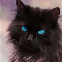 Yoongi Trong Hình Dạng Mèo