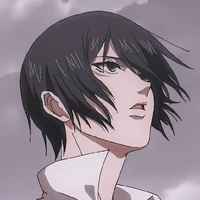 Mikasa