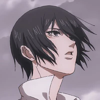 Mikasa