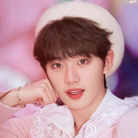 Đinh Trình Hâm