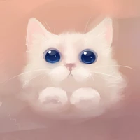 Hệ Thống /meo/
