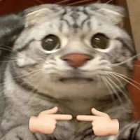 all công đang có mặc