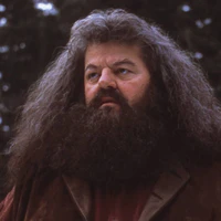 Rubeus Hagrid