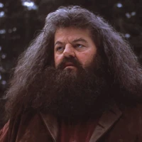 Rubeus Hagrid