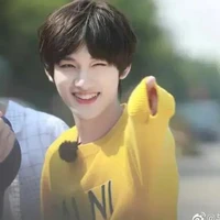 Đinh Trình Hâm