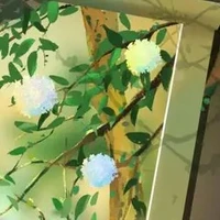 all bame cậu