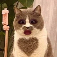 NV thập cẩm =))))