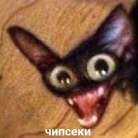 Loan Vy