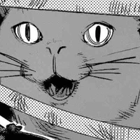 Nyanko