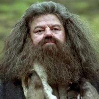 Rubeus Hagrid
