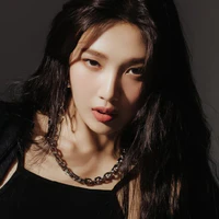 Park Sooyoung( Joy )