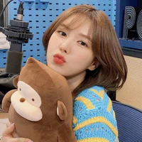 Son Seungwan ( Wendy )