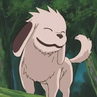 Akamaru