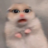 TG bánh bèo