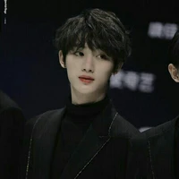 Đinh Trình Hâm (anh)