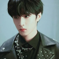 Lưu Diệu Văn (anh)