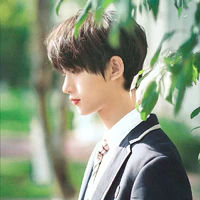 Đinh Trình Hâm (Trước khi xuyên ko)