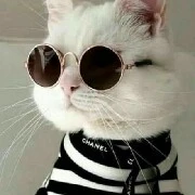 🍃Chanh 🍃 - TÁC GIẢ