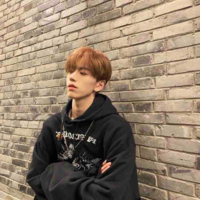 Hạ Sư Tử