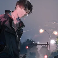 qihoshi(na8)