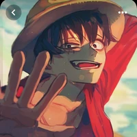 Monkey D. Luffy / Jin / Jan / Zero