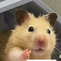 tác giả