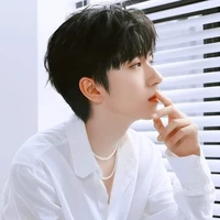 Hạ Tuấn Lâm