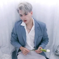 Mister Vịt(Việt)