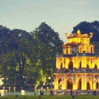 Tác giả 