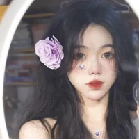 Hoàng Tuệ Linh / Lâm Hạ Vy