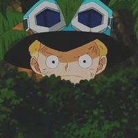 Sabo-nhỏ