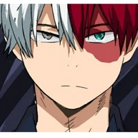 Shoto Todoroki