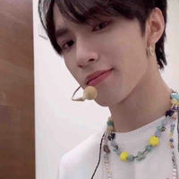 Lưu Diệu Văn ( bth anh)