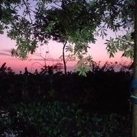 nhóm xuyên không
